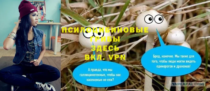 Галлюциногенные грибы мухоморы  Бирюч 